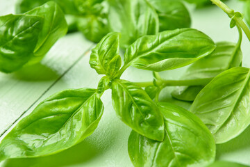 Fresh basil leaves on color wooden background, closeup