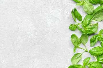 Fresh basil leaves on light background