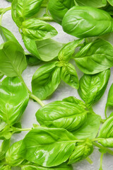 Fresh basil leaves on light background, closeup