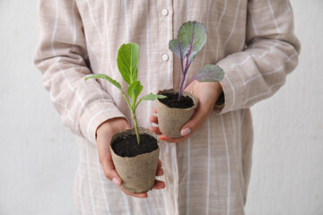 Woman holding plants seedlings in peat pots on light background