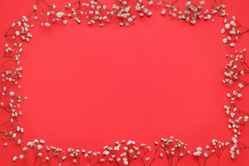Frame made of beautiful gypsophila flowers on color background