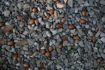 stone wall background