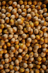 background of hazelnuts