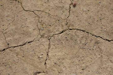 dry soil background