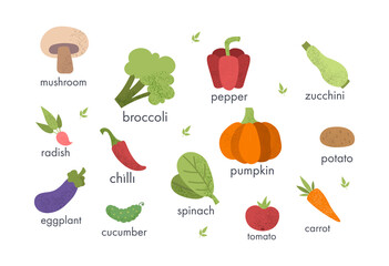 Colorful poster with different fresh vegetables on white background. Tomato, beet, bay leaf, pepper, eggplant, cucumber, broccoli, carrot, pumpkin, avocado Flat cartoon vector illustration