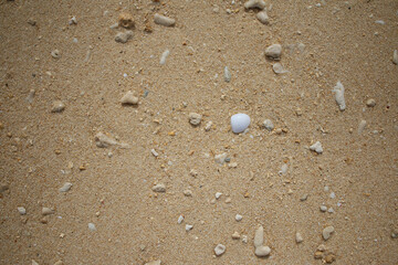 footprints on the sand