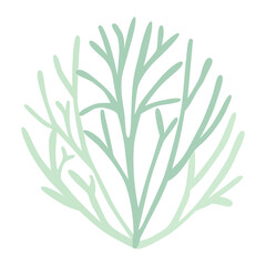 Gray green lichen bush, Icelandic moss, logo on white background