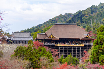 Renewed Kiyomizu Temple