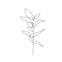 Botanical Line Art Drawing of Simple Leaves Branch. Minimal Abstract Floral Modern Art Illustration. Minimal Botanical Flower One Line Drawing. Vector EPS 10