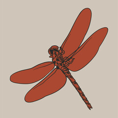 Dragonfly hand drawn graphic vintage engraving illustration. Concept design for logo, card, banner, poster, tattoo. Flying insect handmade decorative colored image sketchy in art retro style