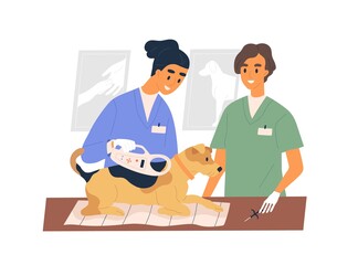 Veterinarians implanting electronic microchip into dog. Vet doctors checking for micro chip under skin of pet with scanner tool. Colored flat vector illustration isolated on white background
