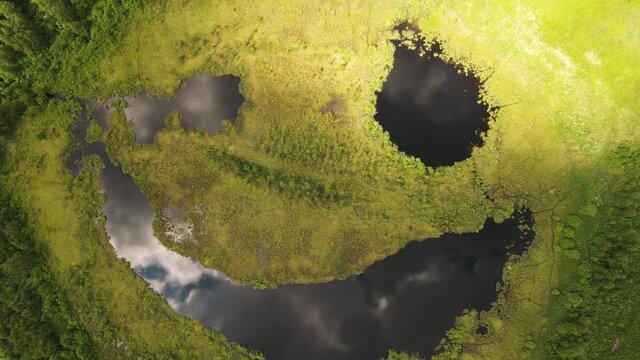 Lake with a sly smile, like a face, bird's eye view, beauty in nature. Pond as a smiley and emoji. A smile on a natural lake, a view from the top, as if in a fairy tale. UHD 4K.