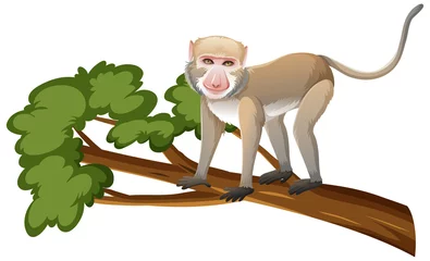 Fotobehang Crab-eating macaque or monkey on tree branch in cartoon style on white background © blueringmedia