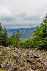 Obraz premium Sommerwanderung durch die schöne Natur Thüringens