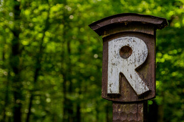Sommerwanderung durch die schöne Natur Thüringens