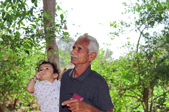 Close-up portrait of Indian senior Grandfather and young little grandson looking at trees and plants in the garden