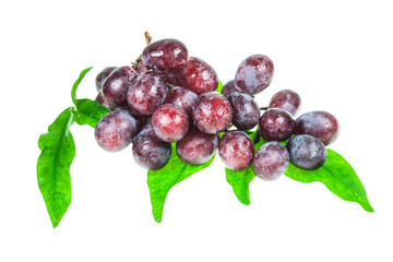 Grapes on white background.