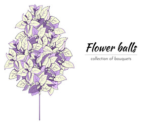 Floral bouquet on a white background in gentle purple tones. Vector hand drawn floral illustration. Flower ball, hydrangea.