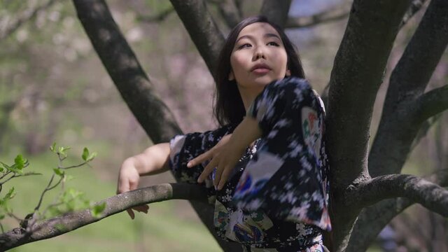 Gorgeous confident sensual Asian woman dancing at tree in sunny spring summer park and looking at camera. Positive beautiful Japanese lady in kimono enjoying leisure outdoors
