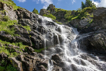 Obraz premium Small waterfall among the stones
