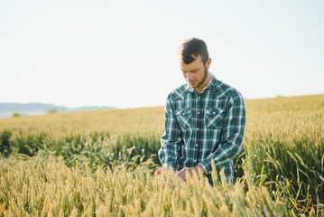 Portrait of farmer standing in green wheat field.