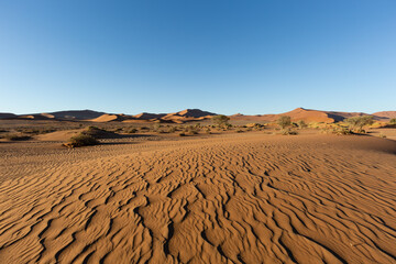 sand dunes in park