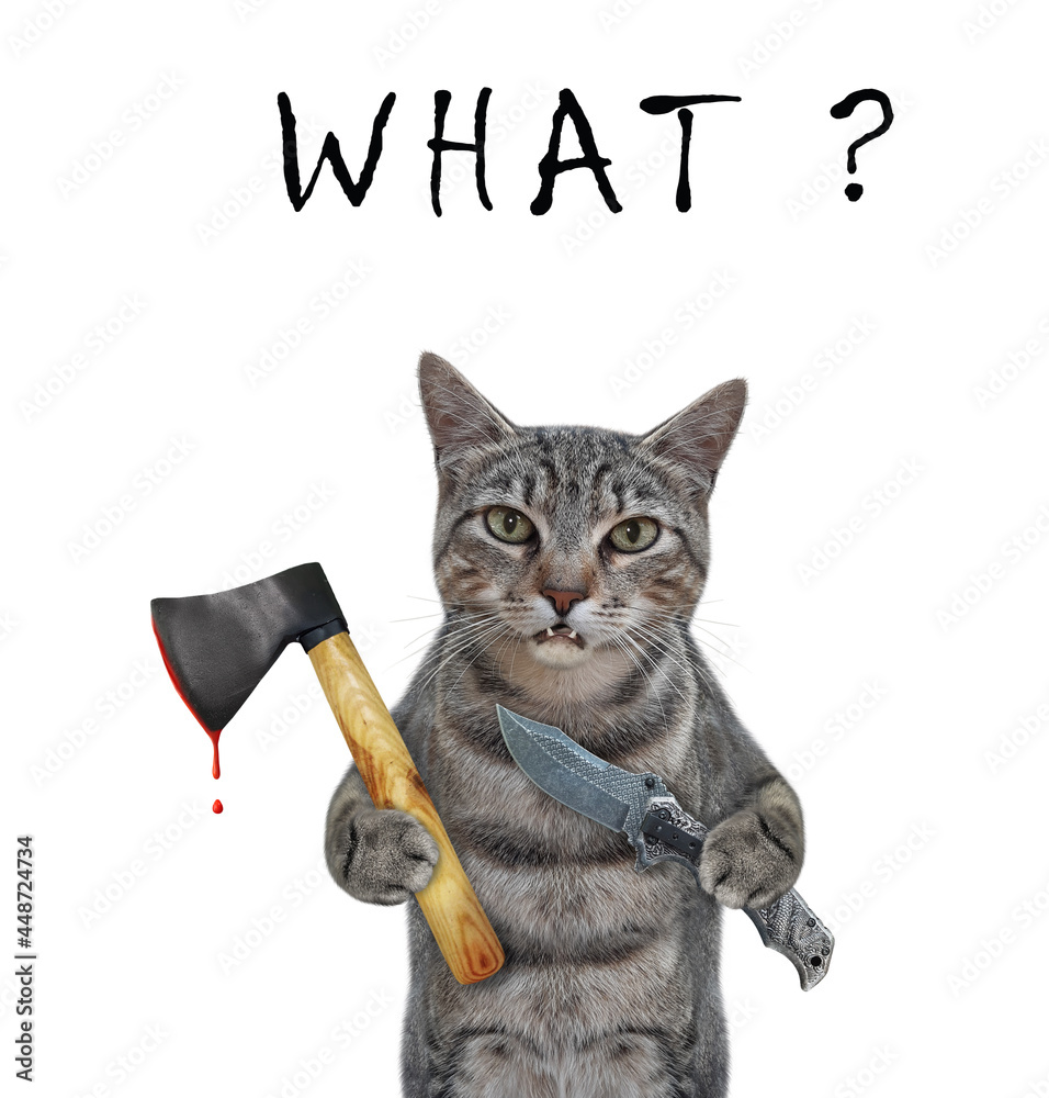 Wall mural a gray cat is holding a big axe and a folding knife for halloween. white background. isolated.