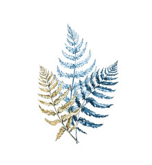 Watercolor fern blue and gold bouquet isolated on a white background. Ferns. Bracken. Wild forest. Leaves. Nature. Hand-drawn illustration