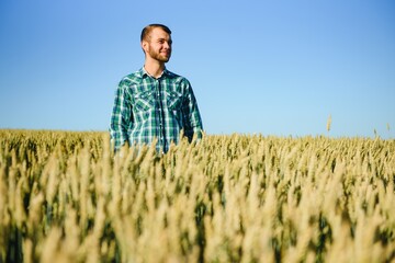 Naklejka na ściany i meble Young farmer in a wheat field before the harvest.