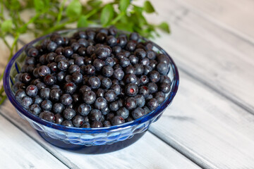 Blueberries in a blue glass cup on the background of a blurred green branch with berries. A place to copy. Close-up. Selective focus