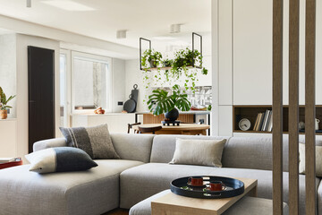 Stylish living room interior design with grey sofa, pouf and personal accessories. Dining space and...