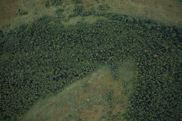Skole Beskids National Nature Park. Closeup view from drone on forest, mountain. Wallpaper, texture