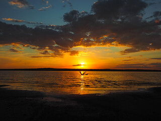 Summer sunset on the Kama river. Driftwood in the water. Beautiful clouds. Russia, Ural, Perm Territory, Elovo.