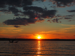 Summer sunset on the Kama river. Driftwood in the water. Beautiful clouds. Russia, Ural, Perm...