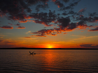 Summer sunset on the Kama river. Driftwood in the water. Beautiful clouds. Russia, Ural, Perm...