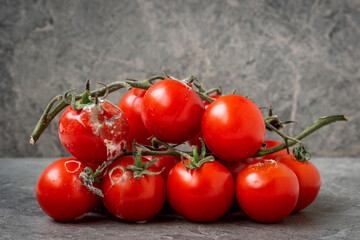 Rotten group of tomato
