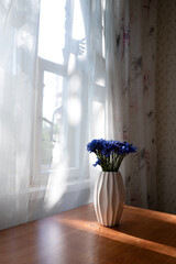a white vase with blue cornflowers stands on the table in the room the summer sun shines on them from the window