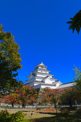 秋の鶴ヶ城（福島県・会津若松市）