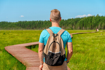 Naklejka premium A young man walks along a picturesque wooden pedestrian path through a swamp with tall grass in summer.