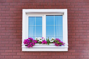 Fototapeta na wymiar Flowers by the window and brick wall.