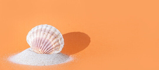 Single seashell on hip of sand with shadow on bright orange background, copy space, banner