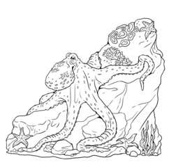 Tropical marine octopus in nature. Colorful sea animals template. Coloring book for children and adults.