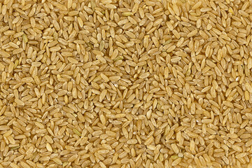 brown rice texture. brown rice background. close-up of brown rice top view. brown rice uncooked
