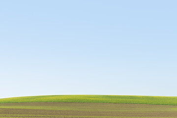Green field and clear blue sky. Summer calm landscape.