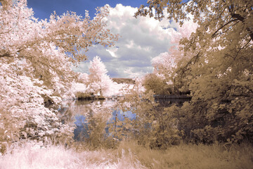 infrared photography - surreal ir photo of landscape with trees under cloudy sky - the art of our...