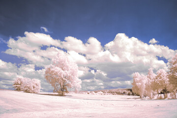 infrared photography - surreal ir photo of landscape with trees under cloudy sky - the art of our world and plants in the invisible infrared camera spectrum