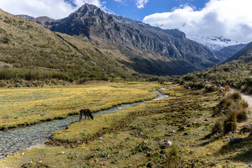 The way to Lake69. Lake 69 is a small lake near of the city of Huaraz, Peru.