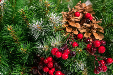 Green spruce branch with cones and red berries. Christmas tree branch with decorations.