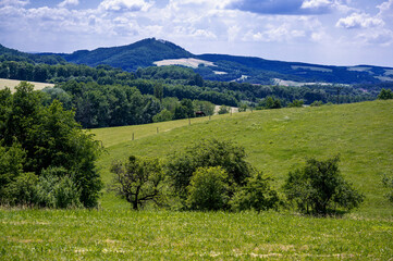 Green meadow and pasture with horse, wood and field on blue hill, Provodov.