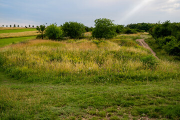 Rural countryside with hill, tree, meadow and mown pasture.